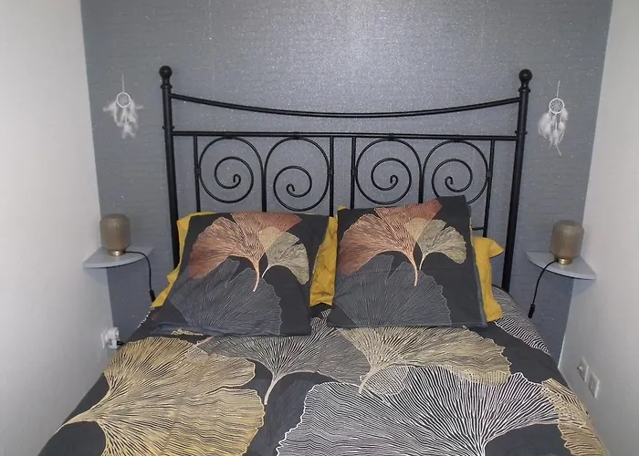 Appartement Allees D'etigny T1bis 41 M2 1 4 Couchages 200 M De La Cremaillere Express 400 M Des Thermes Bagnères-de-Luchon